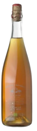 degustation de vin rennes place de la mairie