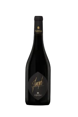 degustation de vin rennes place de la republique