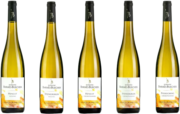 magasin de vin rennes place saint germain